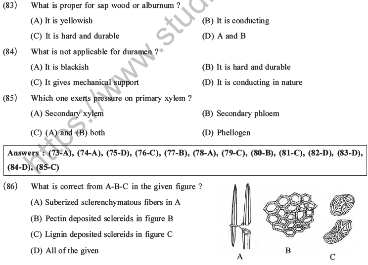 NEET Biology Plant Anatomy Plant Tissues MCQs Set A, Multiple Choice